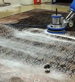 Professional rug cleaning with a rotary floor machine and shampoo foam, deep-cleaning an area rug Denver, CO.